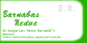 barnabas medve business card